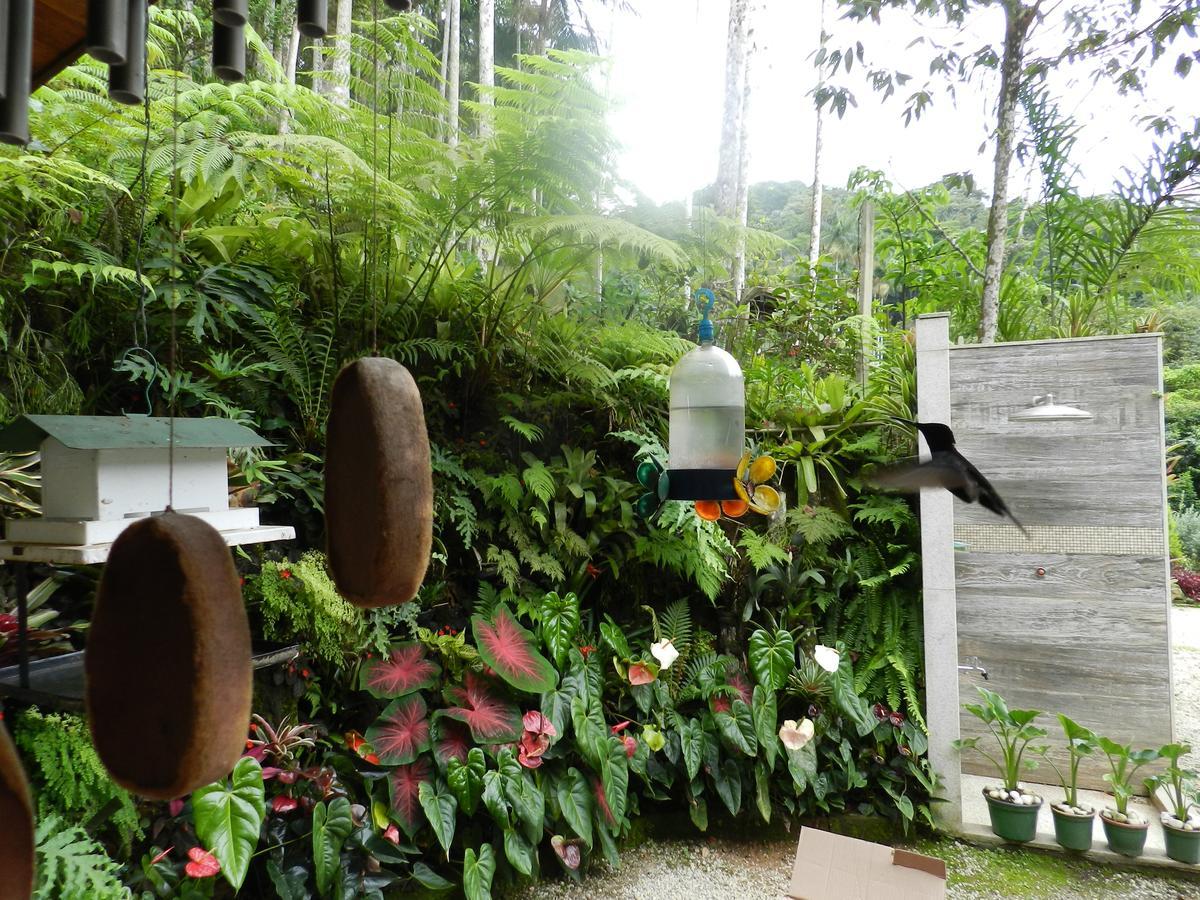 佩尼多Casa Na Floresta公寓 外观 照片